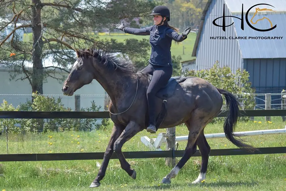 ThinLine Comfort Bareback Pad - Image 7