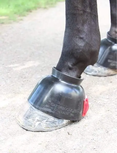 ThinLine Gatorbootz Bell Boot - CLEARANCE - Image 10
