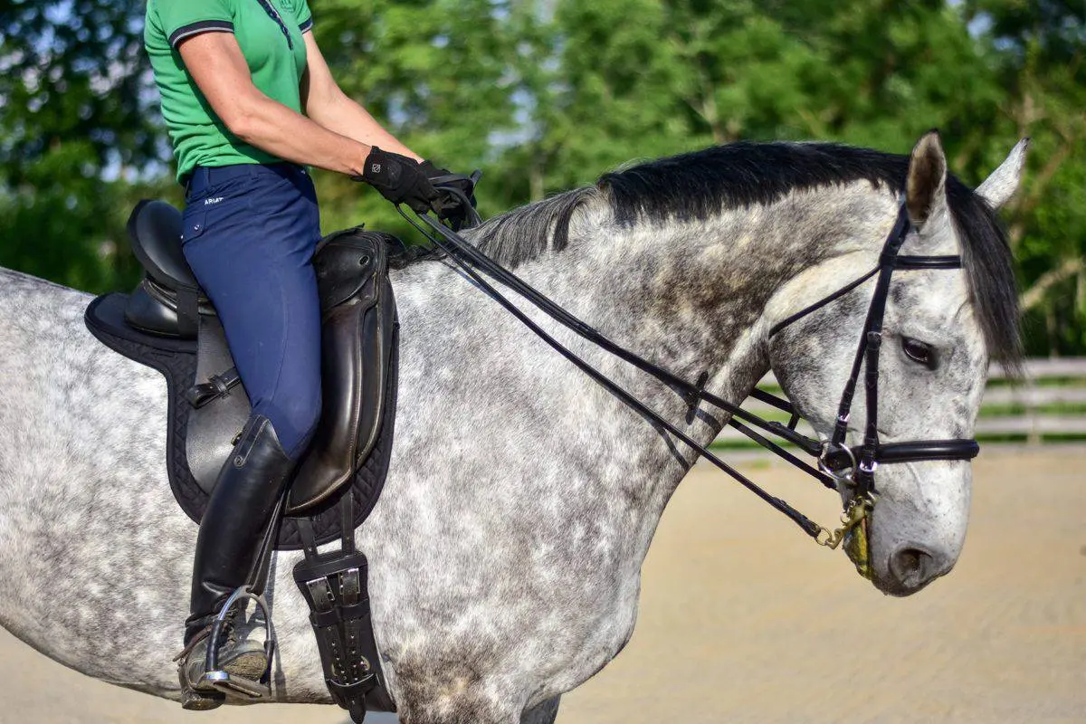 ThinLine Short Girth - Dressage & Monoflap - Image 8