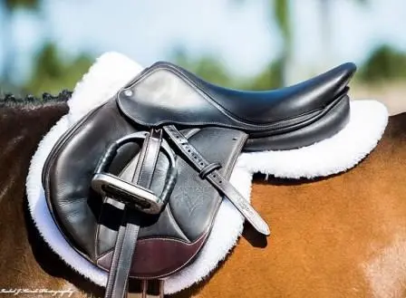 ThinLine Trifecta Half Pad with Sheepskin Rolls - Image 3