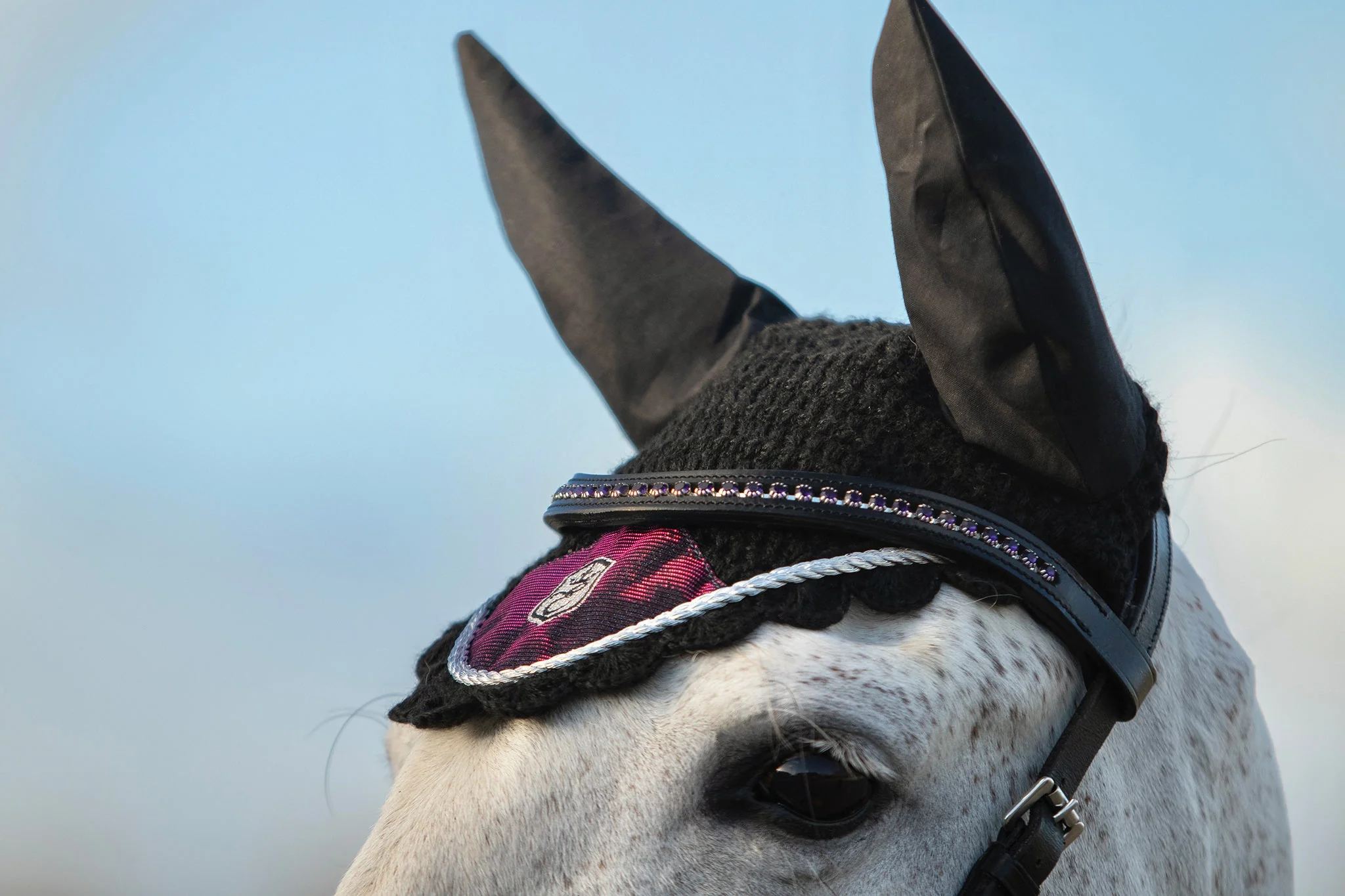Ultraviolet Browband - Image 4