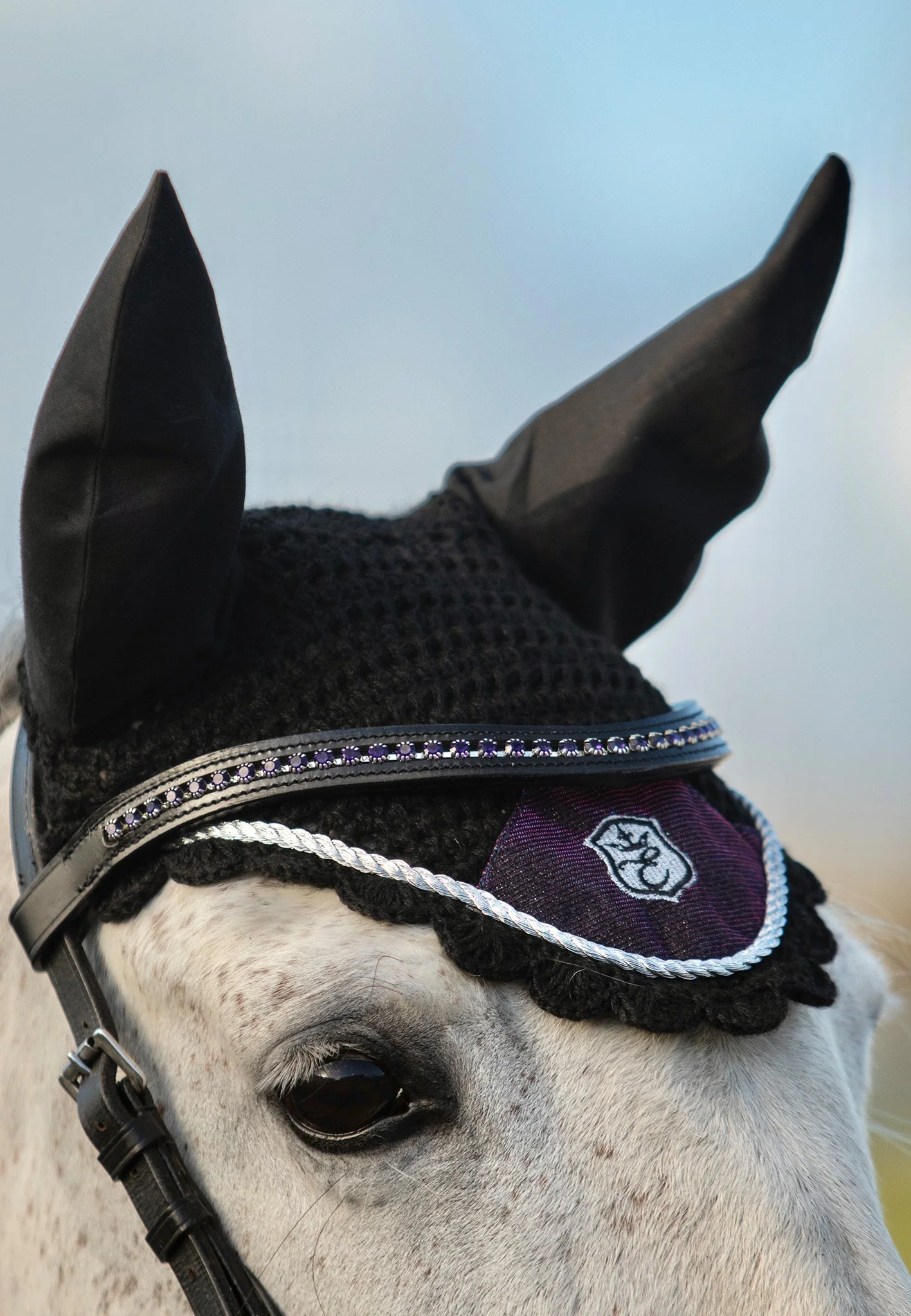 Ultraviolet Browband - Image 5