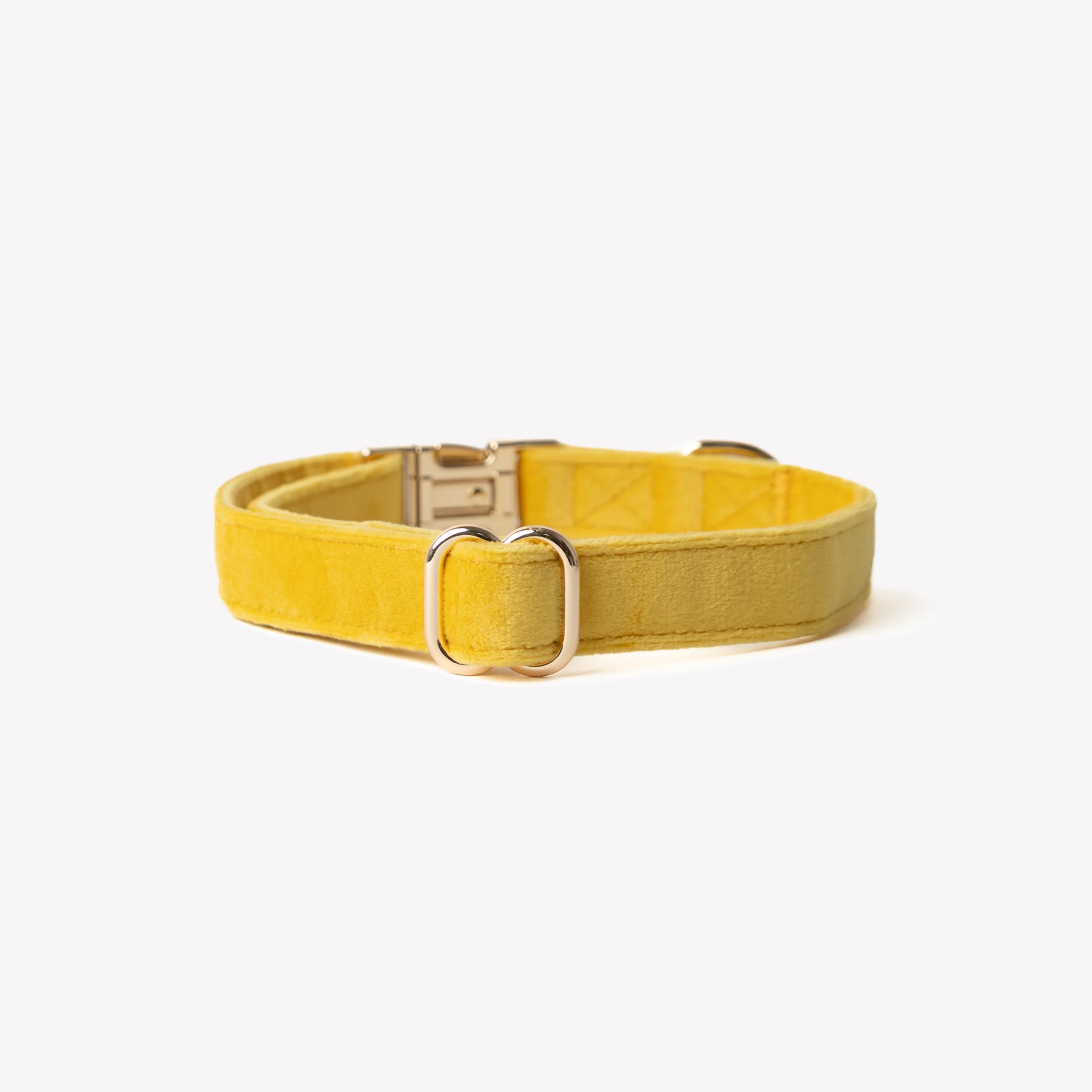 Velvet Dog Collar - Yellow - Image 2