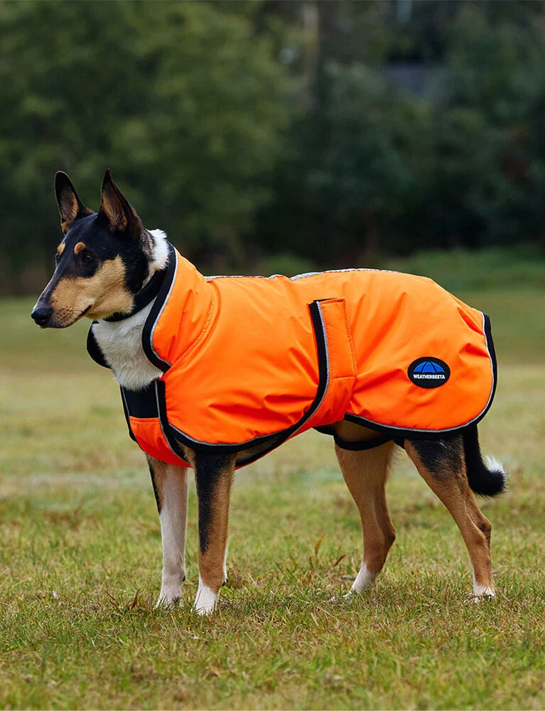 Weatherbeeta Reflective Dog Coat - Image 5
