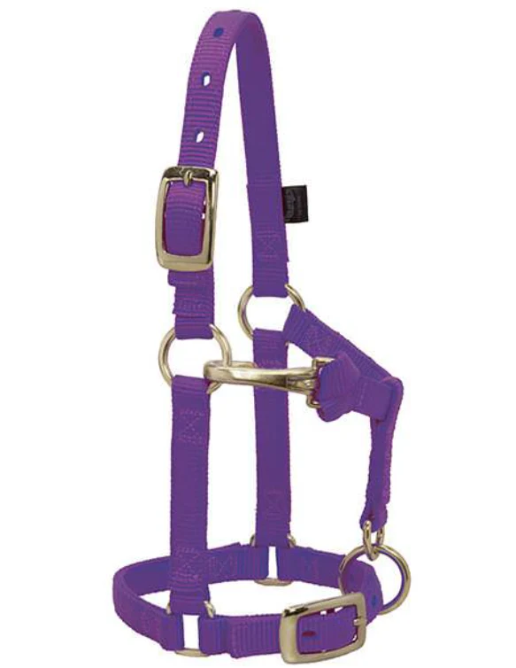 Weaver Miniature Horse Adjustable Nylon Halter - Image 4