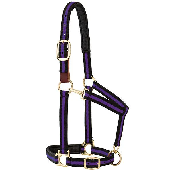 Weaver Padded Adjustable Halter - Image 3