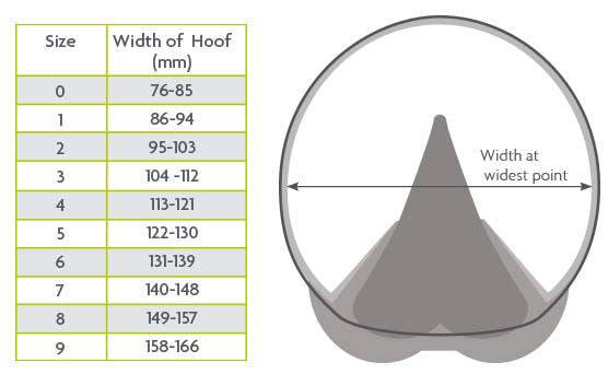 Woof Wear Medical Hoof Boot - Image 3