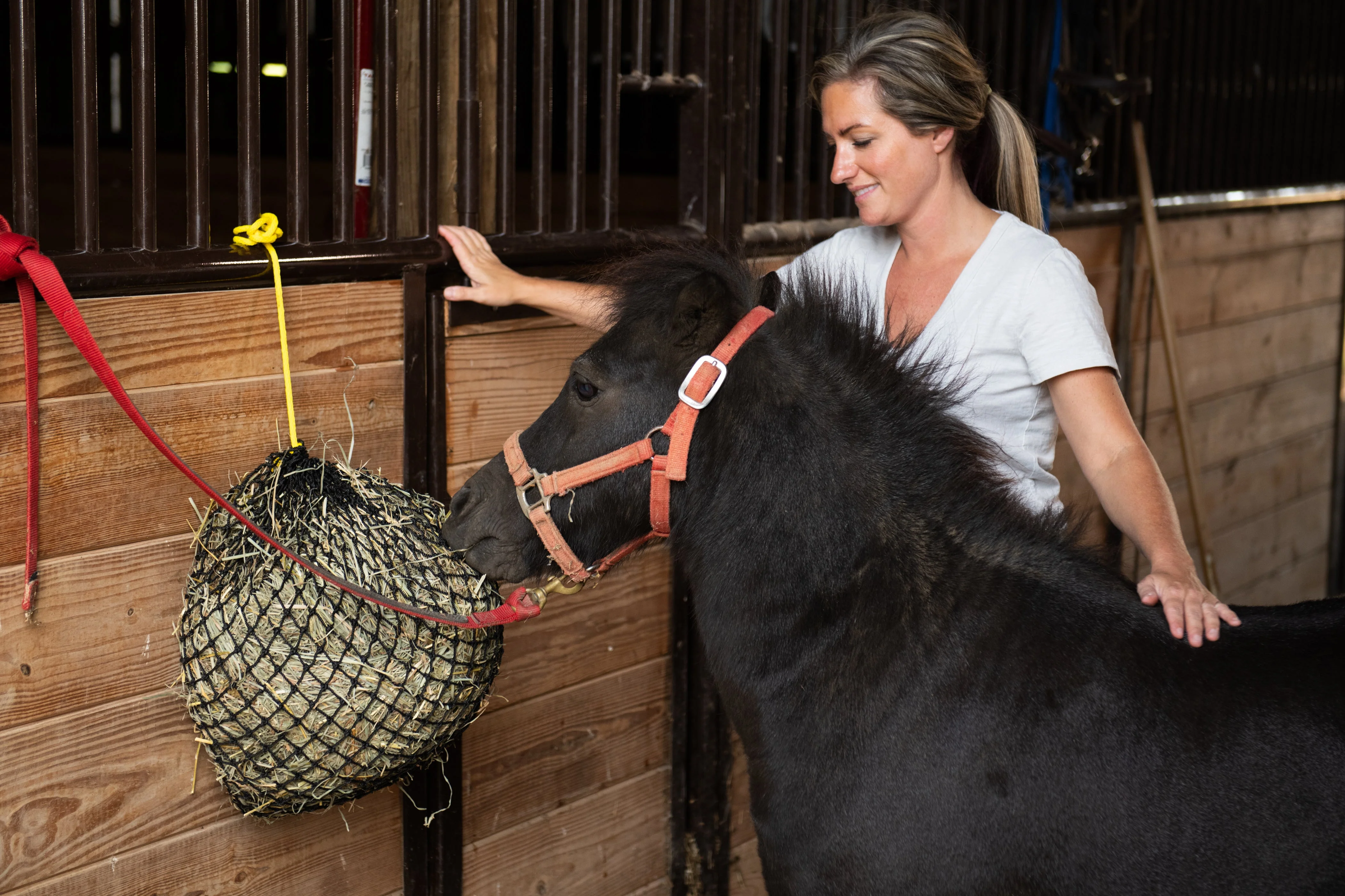 Xtra Small Hay Net - Image 2